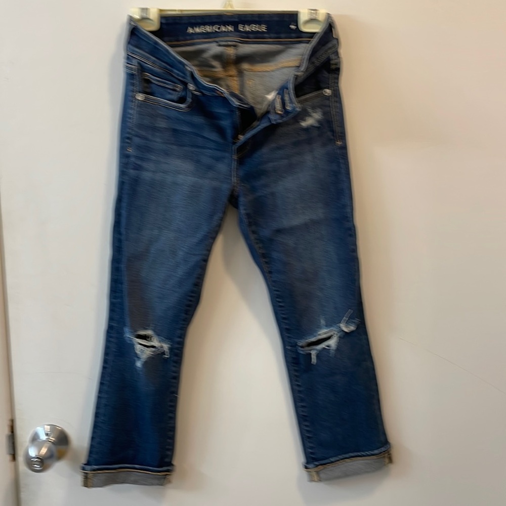 American Eagle Artist Crop capris size 2 Short